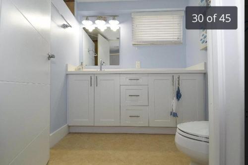 a bathroom with a toilet and a sink and a mirror at Paridise luxury & fishing canal Home in Tavernier
