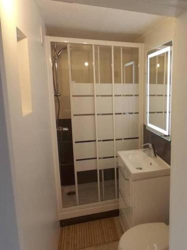 une salle de bain avec une douche, des toilettes et un lavabo dans l'établissement Appartement cosy, 10 min Château Versailles et 5 min Gare, à Versailles