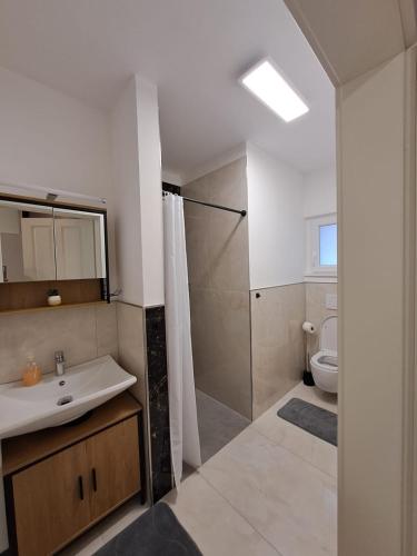 a bathroom with a sink and a shower and a toilet at Ferienwohnung Selo A in Coppenbrügge