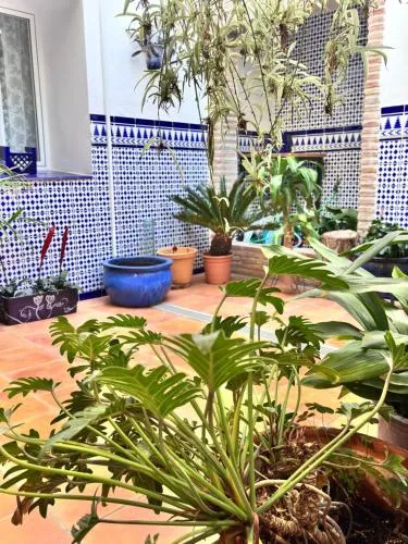 Shanti’s Andalusian Rooms photo 9
