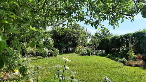 a garden with a lawn with flowers and trees at Gite Gabrielle in Blaesheim