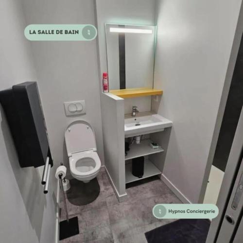 une petite salle de bain avec toilettes et lavabo dans l'établissement Magnifique Studio - Centre ville - Pèlerins, au Puy-en-Velay