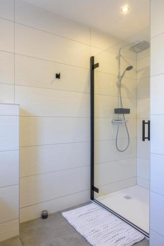 une salle de bain avec une douche avec une porte vitrée dans l'établissement Maison cosy et bien située, à Colmar