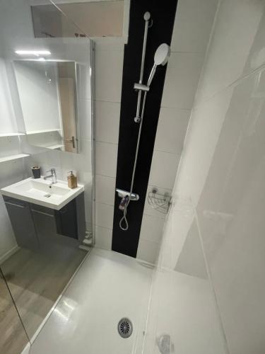 une salle de bain avec douche et lavabo dans l'établissement Location Studio Cabine St Lary Soulan, à Saint-Lary-Soulan