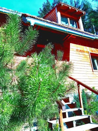 un arbre devant une maison rouge avec des escaliers dans l'établissement Domaine les lodges nature ,private wellness, à Soultzeren