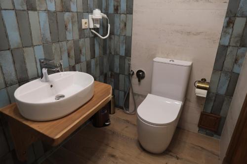 a bathroom with a sink and a toilet at ECO Hotel Gagauz Sofrasi in Congaz