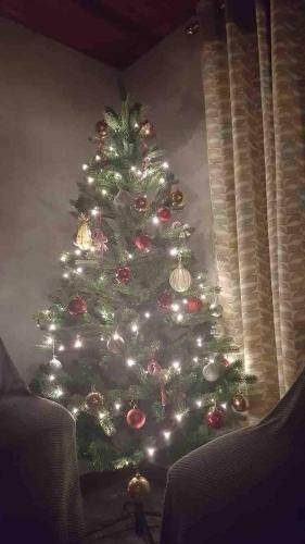 a christmas tree with lights in a living room at Sunny South East Holiday Home in Clashmore