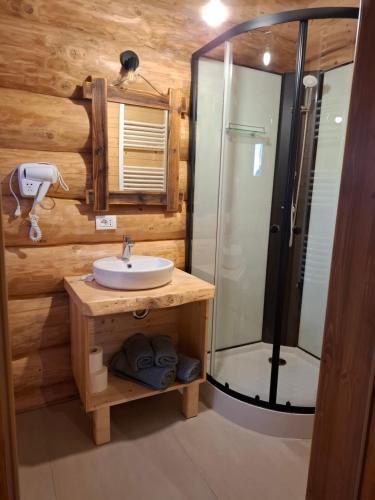 un baño con lavabo y ducha en Chalet Gabriela, en Şarul Dornei