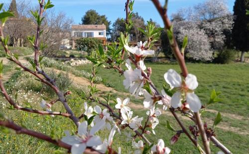 Au Temps des Secrets chambre d'hôtes