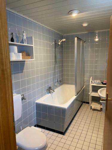 Koupelna v ubytování Land-Haus Sonnenhang