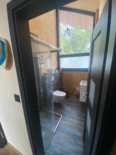 Un baño con ducha de cristal y un inodoro. en Apartman sofinka, en Liptovský Mikuláš