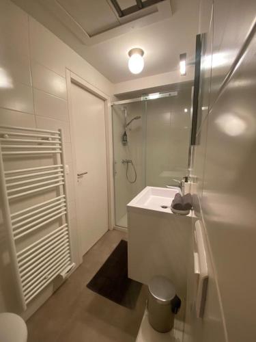 a white bathroom with a shower and a sink at Sympathique T3 cœur de village in Viuz-en-Sallaz