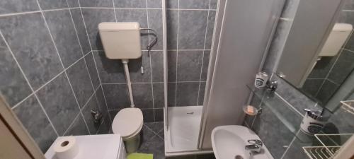 een kleine badkamer met toilet en wastafel bij Vista Studio Apartment in Brčko