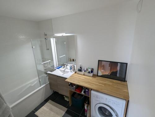 une salle de bain avec un lavabo et une machine à laver dans l'établissement Apartment for 2 people in Annecy, à Annecy