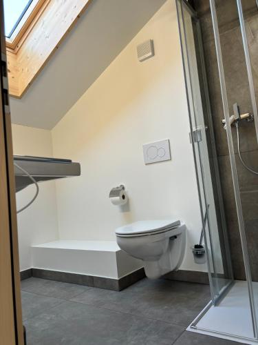 a bathroom with a toilet and a shower at Agritourisme de Montagnier in Bagnes