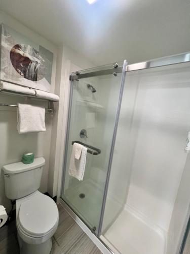 a bathroom with a shower and a toilet at Sleep Inn in Champaign