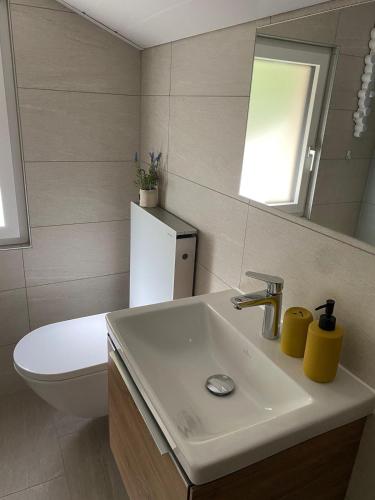 a bathroom with a sink and a toilet and a mirror at Ferienwohnung in Mörel in Mörel