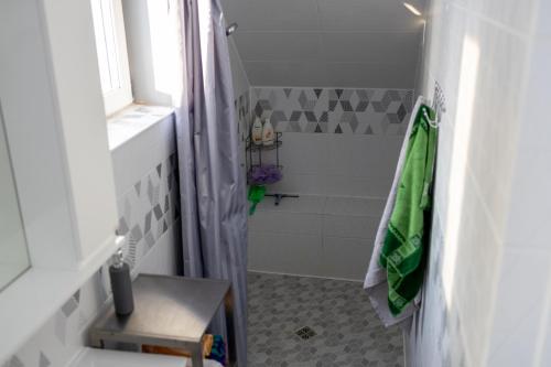 a small bathroom with a shower and a sink at Vähikoja majutus in Kose