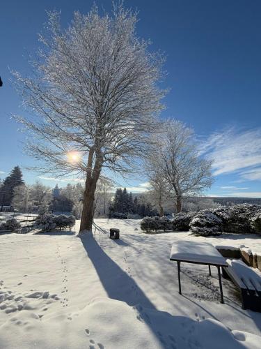 Chalet Galla en invierno