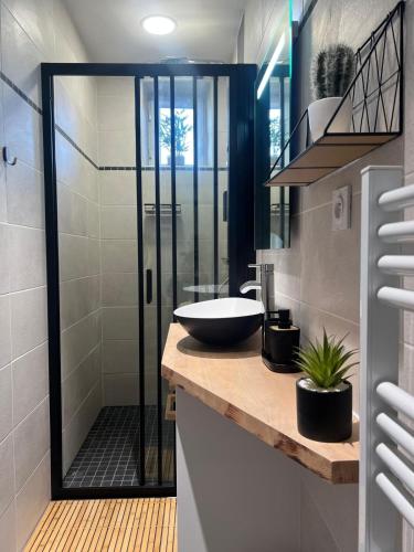 une salle de bain avec un lavabo et une douche dans l'établissement L'Original - Villa Courtais - Hypercentre, à Montluçon