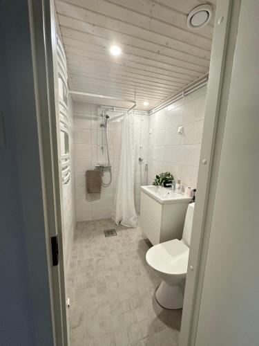 Ένα μπάνιο στο Valoisa yksiö 7km Himokselta