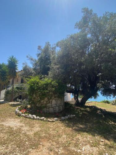 a house with a tree and flowers in a yard at Kalamos Bay View in Panagoúla
