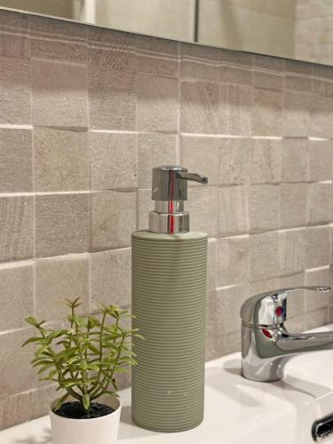 a green soap dispenser sitting on a bathroom sink at Rayo de Luz in Toledo