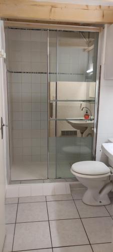 a bathroom with a shower and a toilet and a sink at Petit Appartement dans les Arbres in Carcans