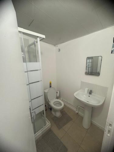 a bathroom with a toilet and a sink at Résidence Borgia - Bois Vignolles, Appartement 2 in Gretz-Armainvilliers