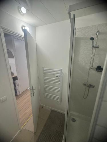 a bathroom with a shower and a glass door at Résidence Borgia - Bois Vignolles, Appartement 2 in Gretz-Armainvilliers
