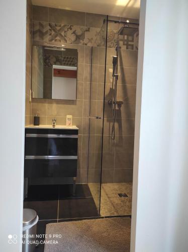 une salle de bain avec douche et lavabo dans l'établissement Villa Marylou, à Seignosse