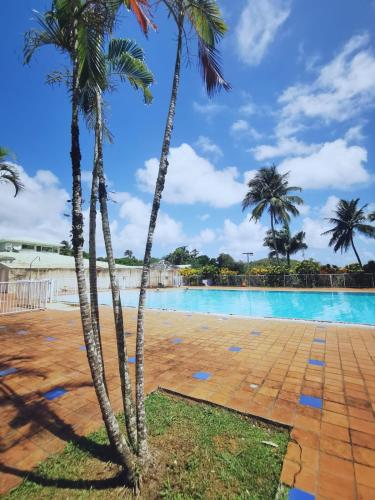 two palm trees in front of a swimming pool at Le refuge des 3Fs in Sainte-Marie