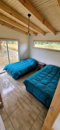 two blue beds in a room with a window at AltaVista Lago Ranco in La Unión