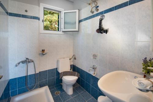 a blue and white bathroom with a toilet and a sink at Dolphin House by the sea in Porto Ozias
