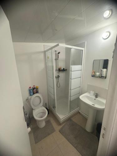 une salle de bain avec une douche, des toilettes et un lavabo dans l'établissement Résidence Borgia - Bois Vignolles, Appartement 3, à Gretz-Armainvilliers