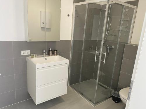 a bathroom with a shower with a sink and a toilet at Koblenzer Naturhaus & Apartments in Koblenz