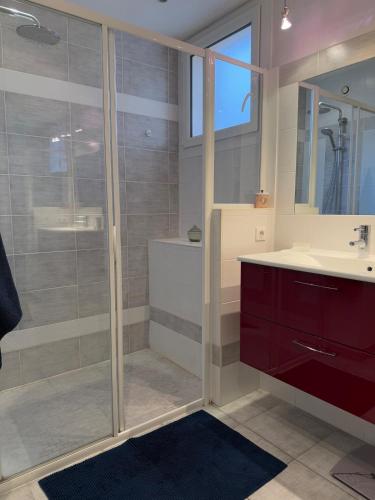 une salle de bain avec une douche, un lavabo et un miroir dans l'établissement Beautiful and spacious T4 with garage, great location, à Dijon