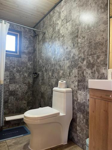 a bathroom with a toilet and a sink at Cabañas Doña Regina in Constitución
