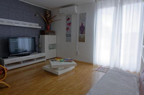 TV a/nebo společenská místnost v ubytování Apartman Gizdavac
