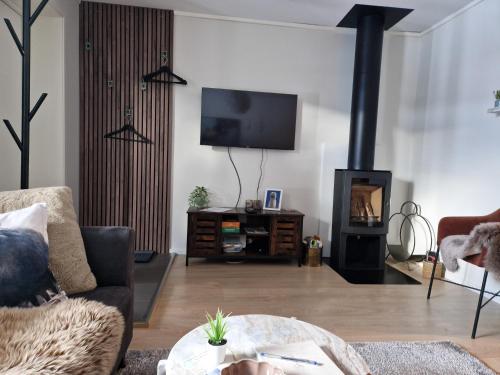 Una sala de estar con chimenea y televisión. en New&cozy apartment near Vrådal Panorama Ski Resort, Golf and Beach, en Vradal