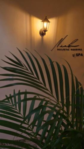 Galeriebild der Unterkunft Näab Holistic Housing Suites in Mérida