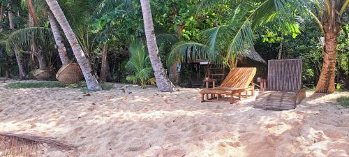 two chairs and palm trees on a sandy beach at ocamocam cottages in Ocam Ocam