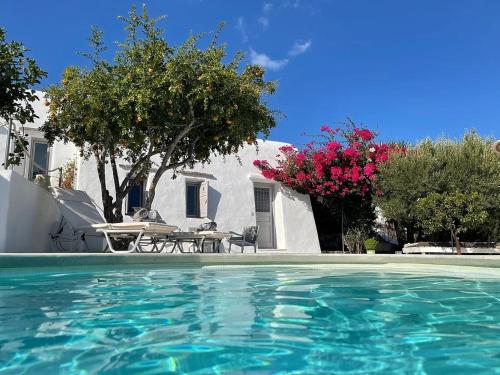 a house with a swimming pool with a table and flowers at Villa Mikro Chorio in Kóstos