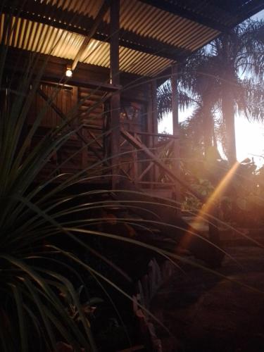 a plant in front of a house with the sun shining at Cabañas Misioneras in San Ignacio