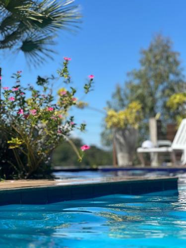 a swimming pool with blue water and flowers at Pousada Recanto Querubins in Paty do Alferes