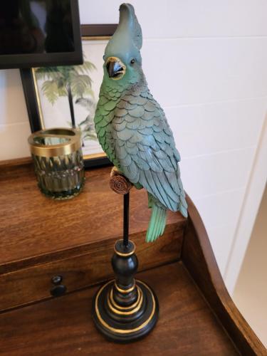 a blue parrot on a stand on a table at 1493 lodge de charme le NINA in St Barthelemy