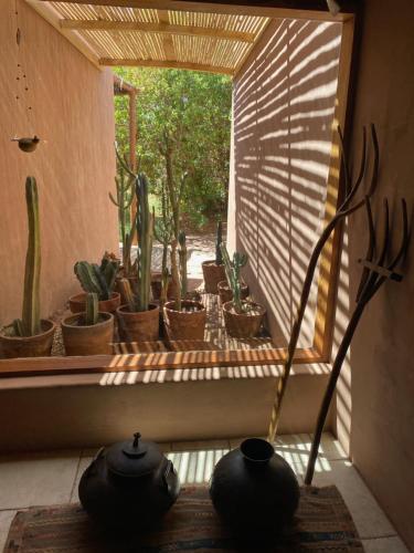 a window with a bunch of potted plants on it at Casa Luna in San Pedro de Atacama