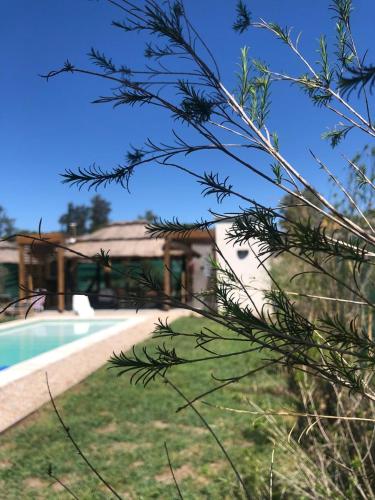 Πισίνα στο ή κοντά στο Jazba - Casa de campo