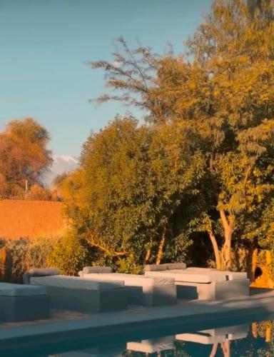 a swimming pool with trees in the background at Casa Luna in San Pedro de Atacama