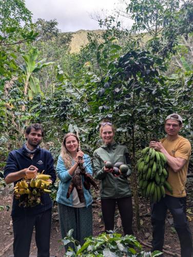 a group of people standing in a forest holding bananas at Lia B&B Lucmabamba in Sahuayacu